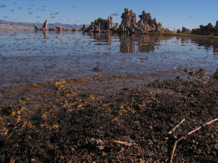 3518 Mono Lake 